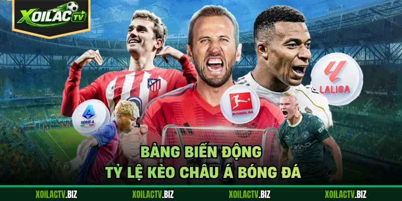 Bảng biến động tỷ lệ kèo châu Á bóng đá