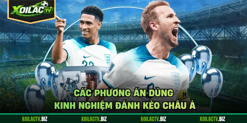 Các phương án dùng kinh nghiệm đánh kèo châu Á