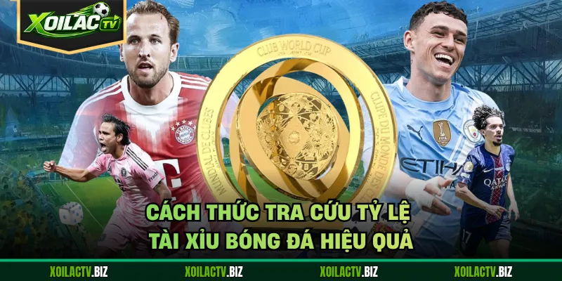 Cách thức tra cứu tỷ lệ tài xỉu bóng đá hiệu quả