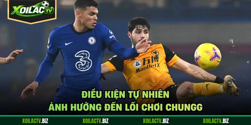 Điều kiện tự nhiên ảnh hưởng đến lối chơi chung