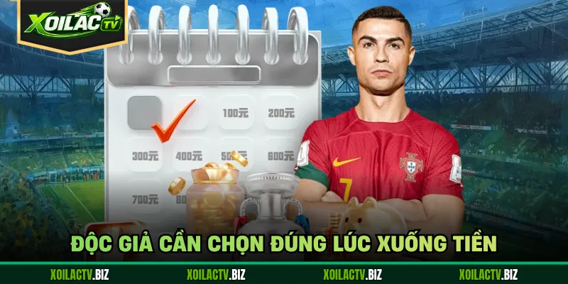 Độc giả cần chọn đúng lúc xuống tiền