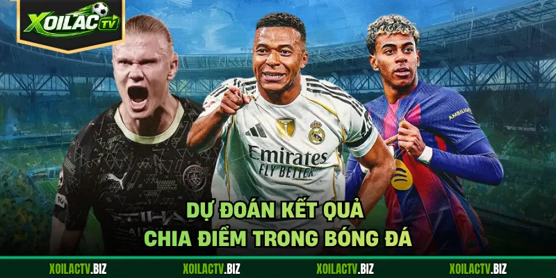 Dự đoán kết quả chia điểm trong bóng đá
