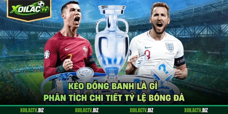 Kèo Đồng Banh Là Gì – Phân Tích Chi Tiết Tỷ Lệ Bóng Đá