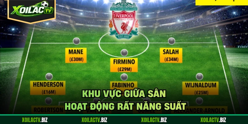 Khu vực giữa sân hoạt động rất năng suất