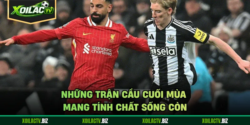 Những trận cầu cuối mùa mang tính chất sống còn