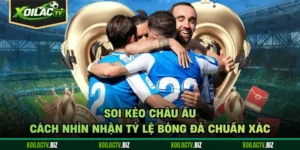 Soi Kèo Châu Âu - Cách Nhìn Nhận Tỷ Lệ Bóng Đá Chuẩn Xác