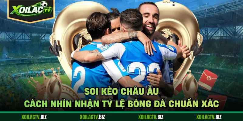 Soi Kèo Châu Âu – Cách Nhìn Nhận Tỷ Lệ Bóng Đá Chuẩn Xác