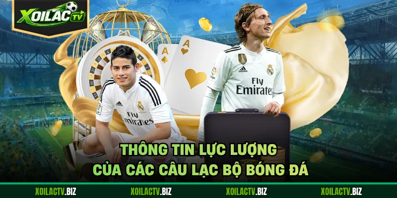 Thông tin lực lượng của các câu lạc bộ bóng đá