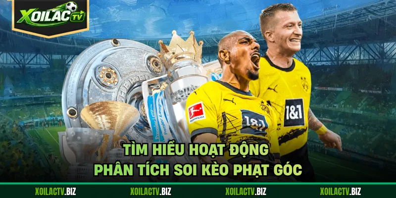 Tìm hiểu hoạt động phân tích soi kèo phạt góc