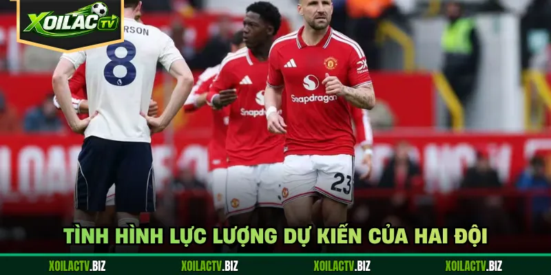Tình hình lực lượng dự kiến của hai đội